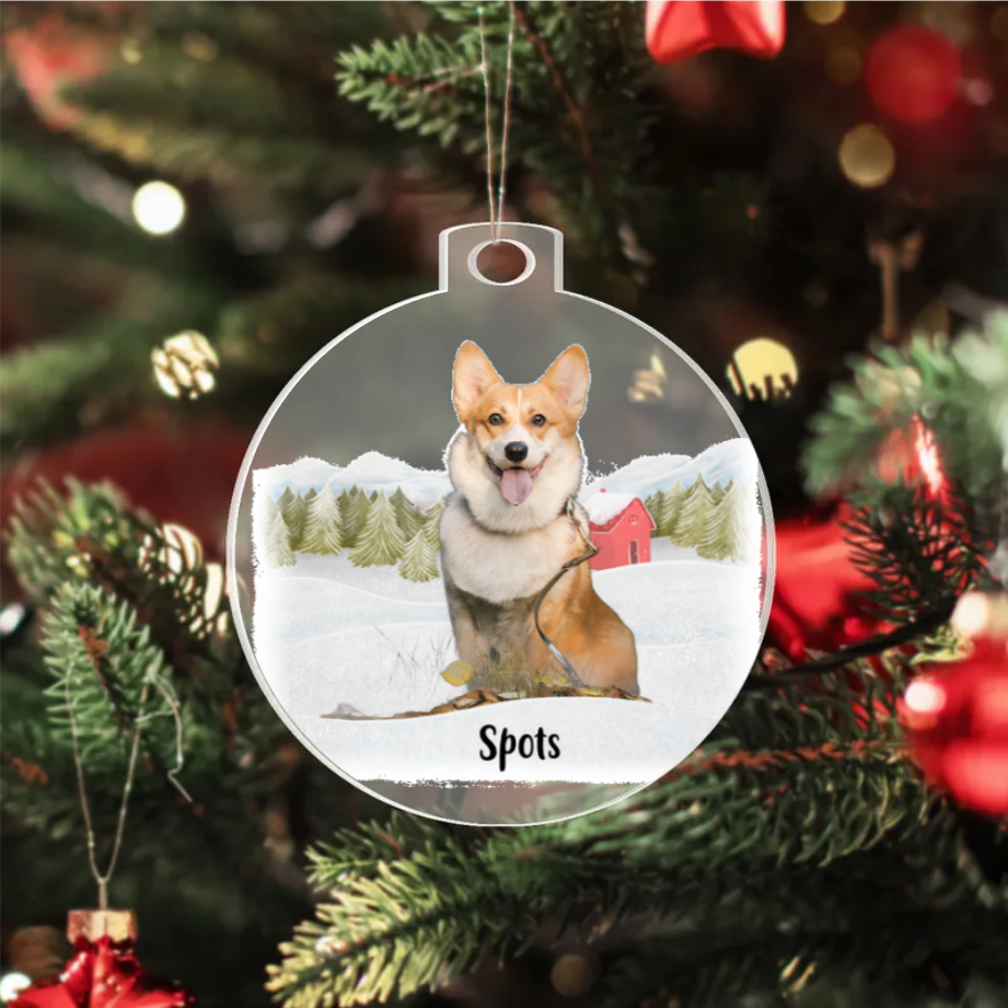 Acrylic Ornament shineon