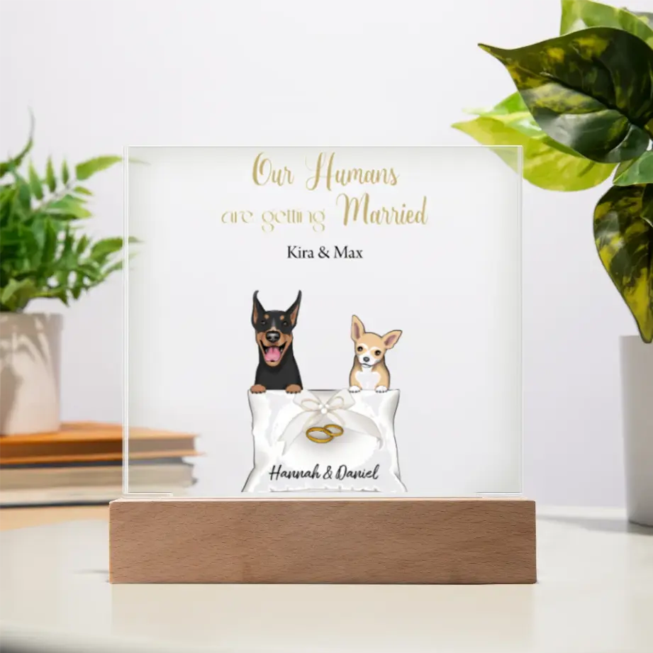 “Our Humans Are Getting Married” Acrylic Wedding Announcement Plaque – Personalized Pet Design with LED Base shineon